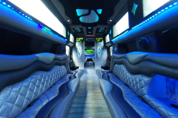 Limousine plush leather seats