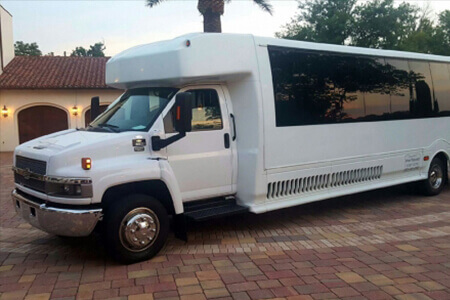 Party bus rental St Petersburg