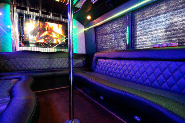 Sound system on party bus