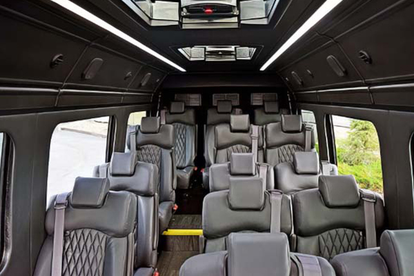 Sprinter van in Tampa